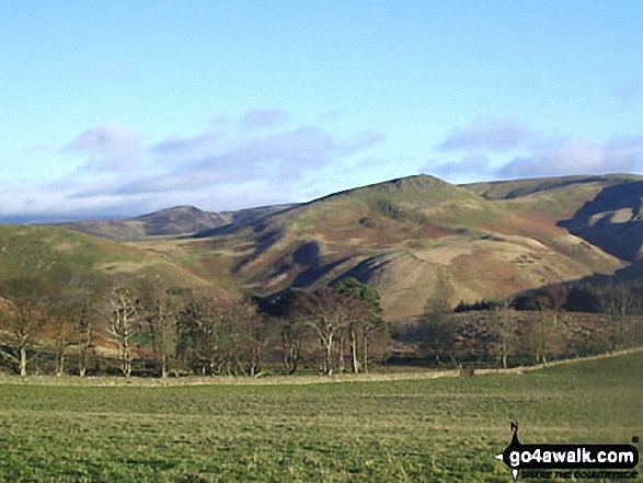 Walk bo131 Woden Law from Tow Ford - The Cheviot Hills from Woden Law