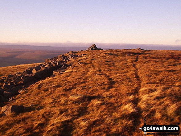 Walk c419 Brownber Hill, Backstone Edge and High Cup Nick from Dufton - Brownber Hill summit