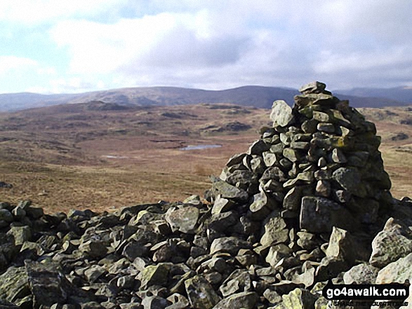 Walk c465 High Wether Howe, Seat Robert and Great Ladstones from Wet Sleddale Reservoir - Seat Robert summit cairn