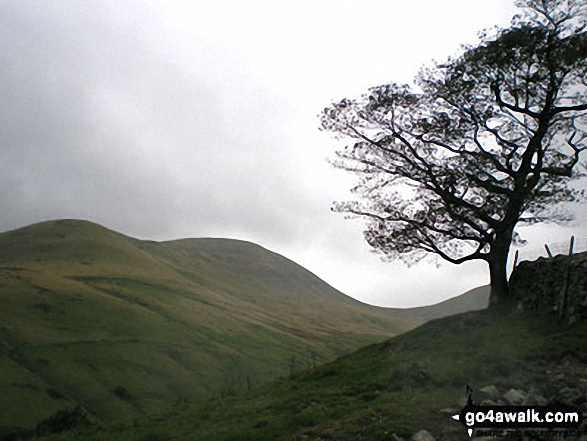 Walk c347 The Howgill Fells 2000ft'ers - Yarlside from The River Rawthey near Narthwaite Farm