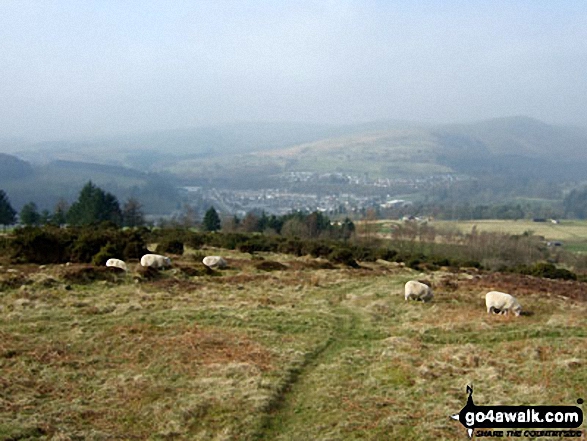 Walk dg104 Whita Hill from Langholm - Langholm and Eskdale from Whita Hill