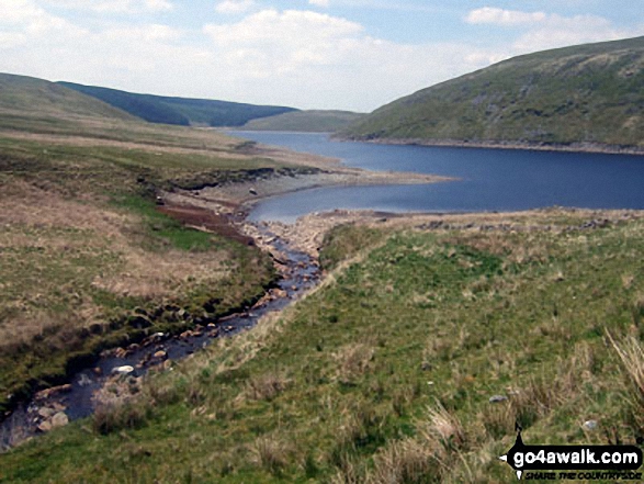 Nant-y-moch Reservoir 