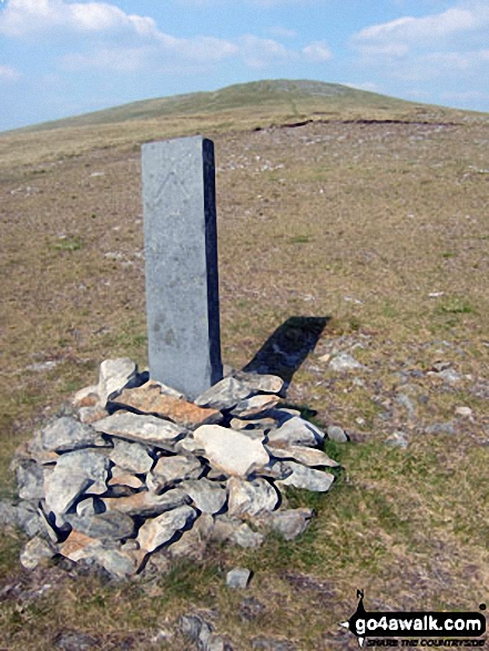 Walk ce100 Y Garn (Pumlumon), Pen Pumlumon Fawr (Plynlimon), Pen Pumlumon Llygad-bychan and Pen Pumlumon Arwystli from Nant-y-moch Reservoir - Boundary stone on the approach to Pen Pumlumon Arwystli