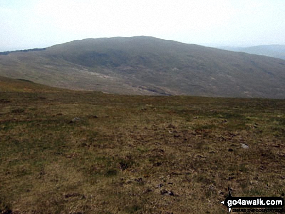 Walk ce100 Y Garn (Pumlumon), Pen Pumlumon Fawr (Plynlimon), Pen Pumlumon Llygad-bychan and Pen Pumlumon Arwystli from Nant-y-moch Reservoir - Y Garn (Pumlumon) from Pen Pumlumon Fawr (Plynlimon)