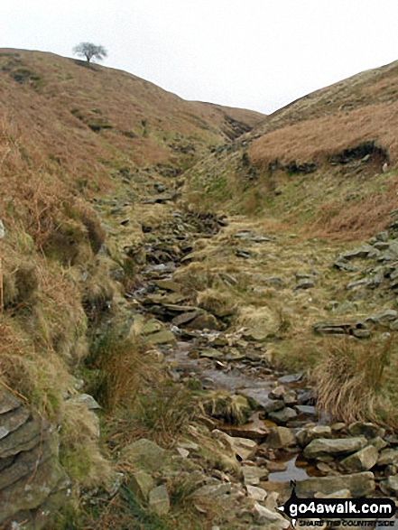 Walk l112 Pendle Hill via Boar Clough from Barley - Boar Clough