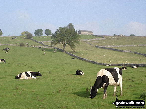 Walk d312 Carder Low, The High Peak Trail and The Tissington Trail from Hartington - Dove Valley, Hartington