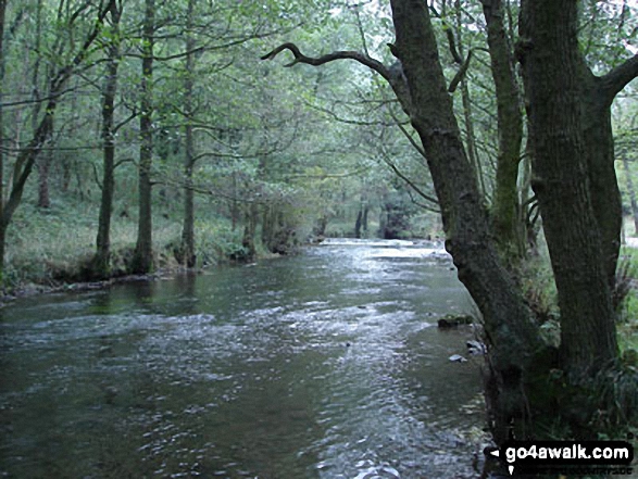 Walk d225 Sheen, The Manifold Valley, Longnor and Pilsbury Castle Hills from Hartington - The River Dove, Dove Dale