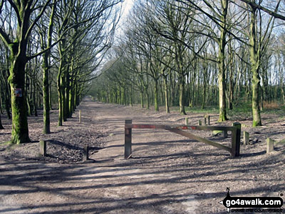 Walk l217 Lever Park, Winter Hill (Rivington Moor) and Rivington Pike from Rivington Lane - Path through Lever Park from Rivington Lane Car Park