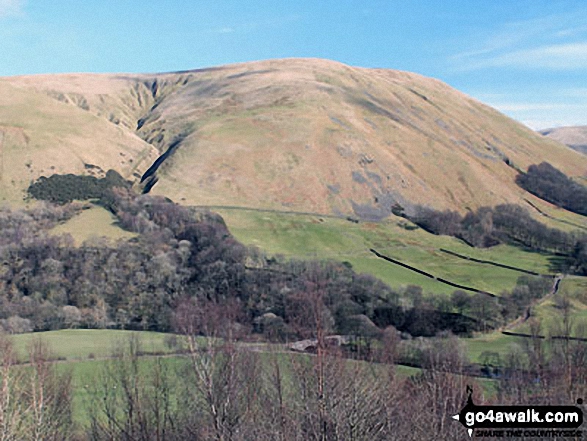 Walk c384 Grayrigg Forest from Hause Bridge - Cleugh Gill (left) and Blease Fell from the lower slopes of Grayrigg Forest