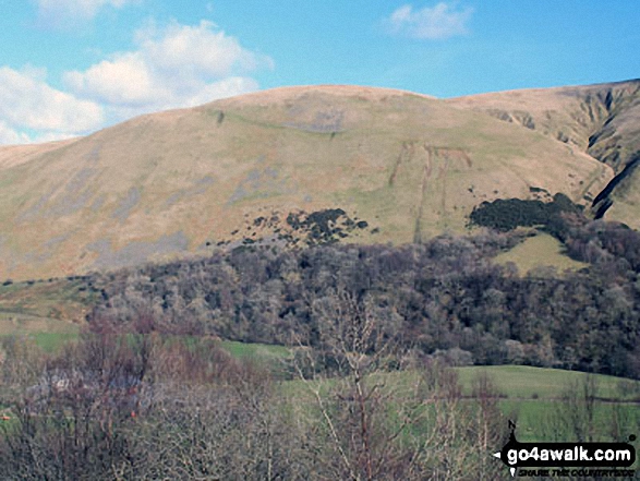 Walk c384 Grayrigg Forest from Hause Bridge - Powson Knott from the lower slopes of Grayrigg Forest