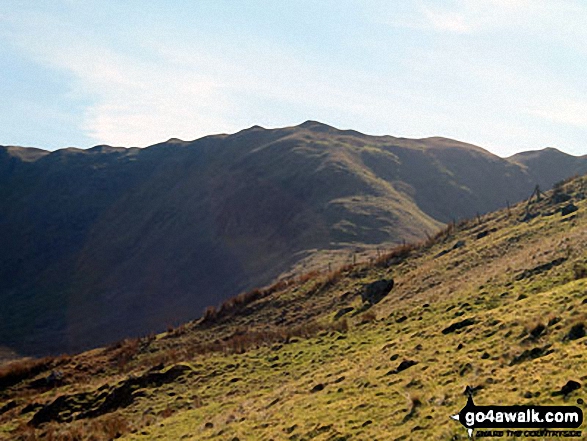 Great Coum (left), Greyrigg Pike and Little Coum (right) from the lower slopes of Grayrigg Forest