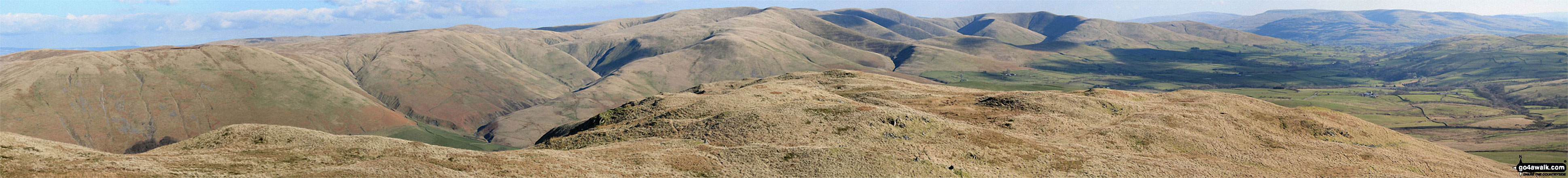 Blease Fell and The Howgill Fells 2000ft'ers - Randygill Top, The Calf, Calders and Fell Head (Howgills) - from Grayrigg Pike (Grayrigg Forest) summit