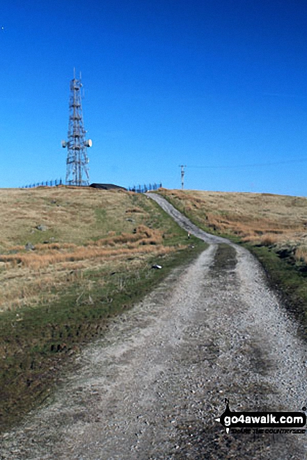 Telecommunications Mast on Grayrigg Forest 