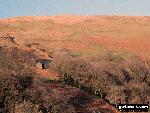 Single stone hut on the slopes of Jeffrey's Mount from Borrowdale Wood 