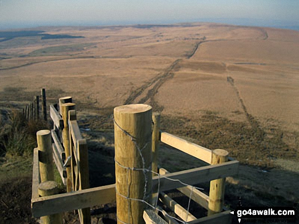 Great Hill and Spitlers Edge from Winter Hill (Rivington Moor)