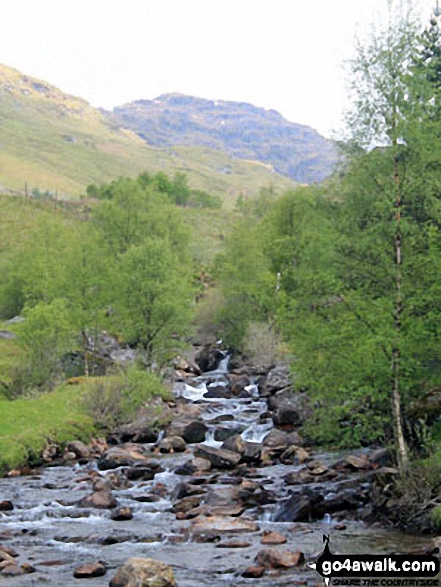 Cruach Ardrain from Inverlochlarig Burn 