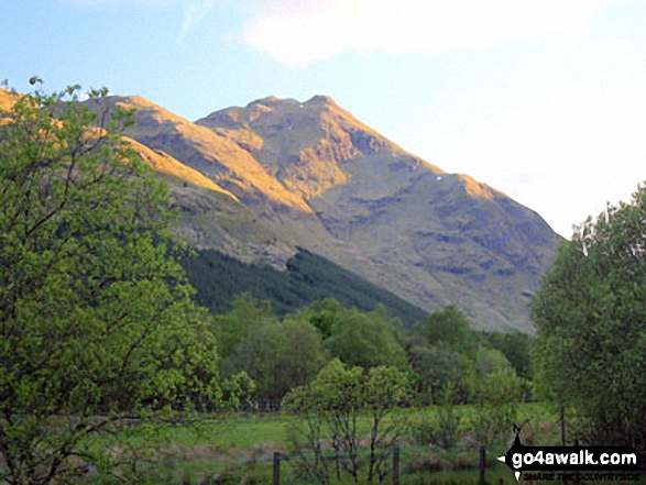 Golden hues on Stob a' Choin from Inverlochlarig 