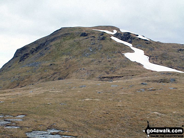 Meall Glas (Glen Lochay) from Meal Glas Beag 