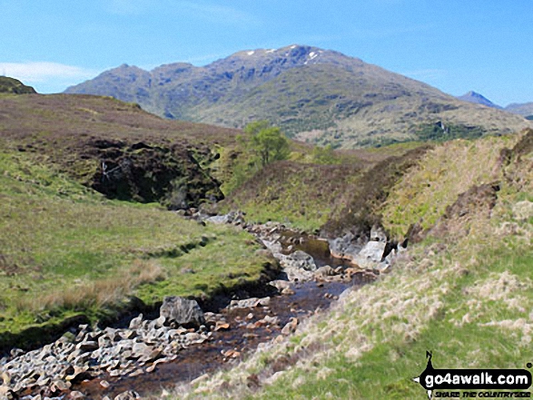 Ben Vorlich (The Arrochar Alps) from Ben Glas Burn 