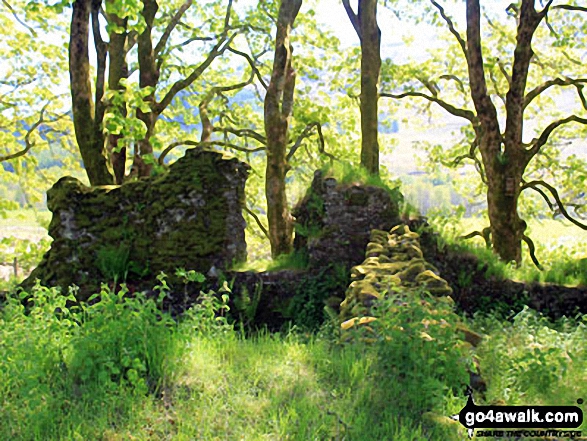 The remains of St Fillan's Priory, Kirkton Farm 