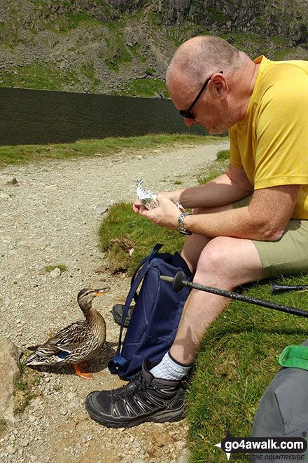 Brett and a duck at Stickle Tarn 