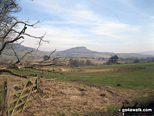 Walk s176 Gun (Staffordshire) from Meerbrook - Hen Cloud from the lane north of Meerbrook