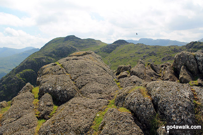 Pavey Ark summit