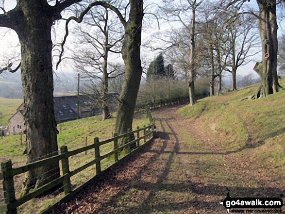 Walk s176 Gun (Staffordshire) from Meerbrook - Woodland path near Meadows Farm