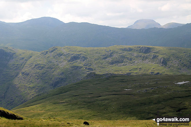 Black Crags (Langdale) from Martcrag Moor