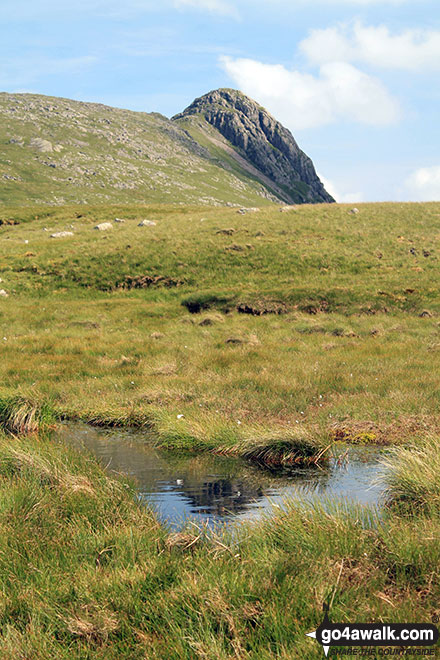 Pike of Stickle (Pike o' Stickle) from Martcrag Moor