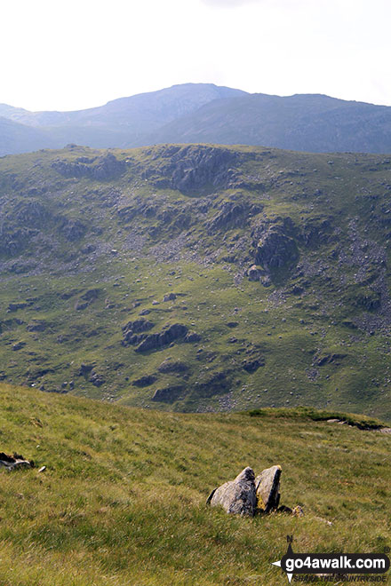 Black Crags (Langdale) from Martcrag Moor