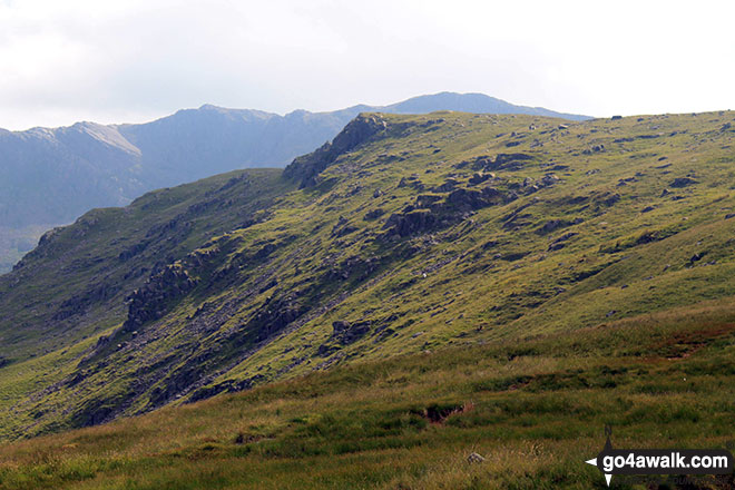 Black Crags (Langdale)