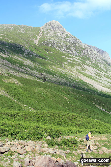 Walk c129 Crinkle Crags and Bow Fell from The Old Dungeon Ghyll, Great Langdale - Pike of Stickle (Pike o' Stickle) from Mickleden