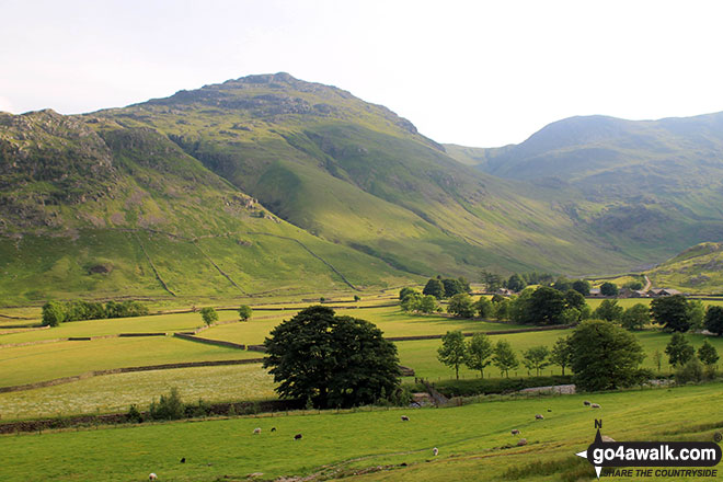 Walk c414 Crinkle Crags and Bow Fell (Bowfell) from The Old Dungeon Ghyll, Great Langdale - Pike of Blisco (Pike o' Blisco) from Mickleden