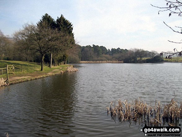 Walk s176 Gun (Staffordshire) from Meerbrook - Turner's Pool