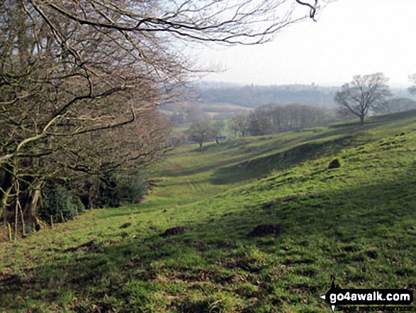 The Staffordshire countryside near Abbey Wood 