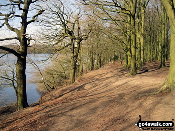 Lower Rivington Reservoir shore path 