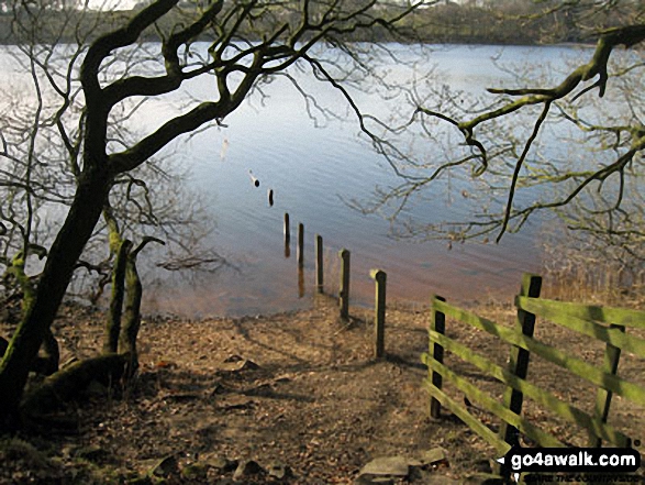 Walk l135 A circuit of Anglezarke Reservoir - Lower Rivington Reservoir