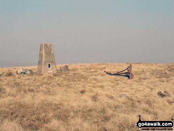 Black Fell (Haresceugh Fell) summit