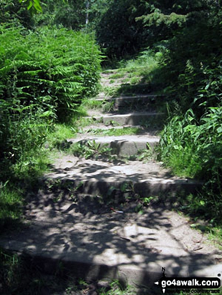 Walk d239 Chatsworth Park, Beeley and Wellington's Monument from Baslow - Steps up through woodland towards Birchen Edge