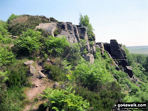 Birchen Edge near Nelson's Monument (Birchen Edge)