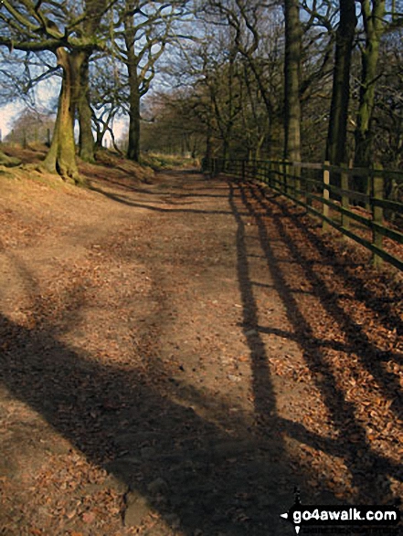 Woodland path above Rivington Hall 