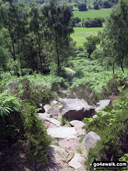 Looking down from Birchen Edge 