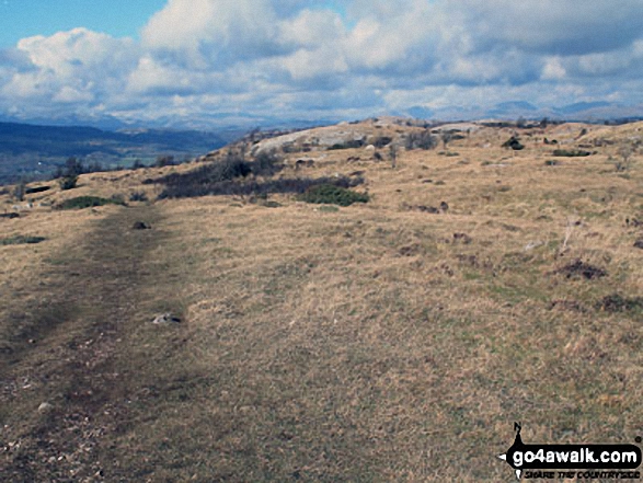 Walk c444 Lord's Seat (Whitbarrow Scar) from Mill Side - The path across Farrar's Allotment on Whitbarrow Scar