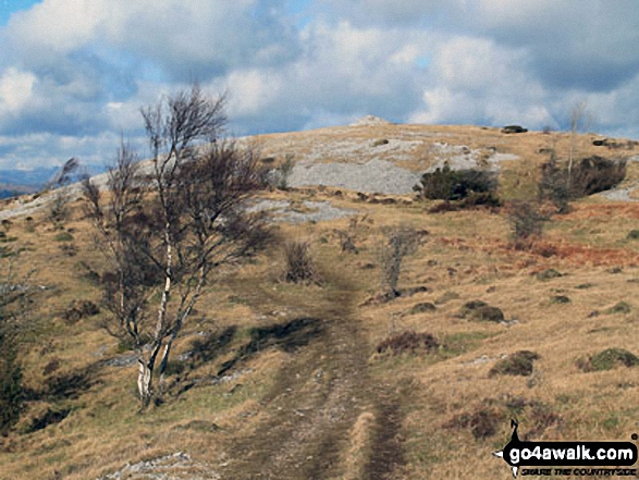 Farrar's Allotment, Whitbarrow Scar 