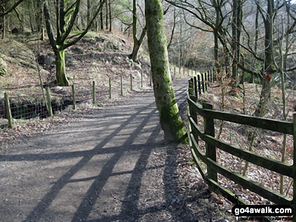 Walk l217 Lever Park, Winter Hill (Rivington Moor) and Rivington Pike from Rivington Lane - Woodland path above Rivington Upper Barn