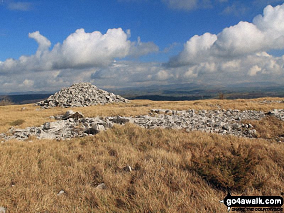 Walk c107 Lord's Seat (Whitbarrow Scar) from Witherslack Hall School - On Whitbarrow Scar