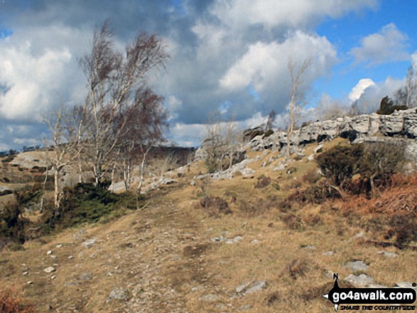 Walking along the Whitbarrow Scar ridge 