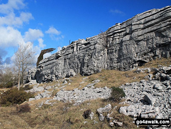 Walk c107 Lord's Seat (Whitbarrow Scar) from Witherslack Hall School - Crags on Whitbarrow Scar (Flodder Allotment)