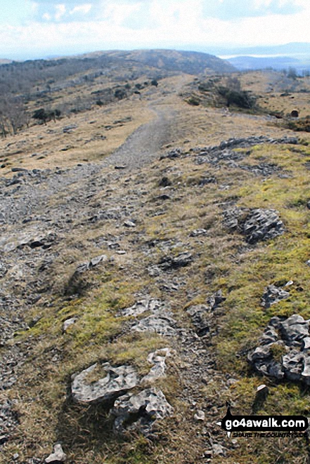 Walk c107 Lord's Seat (Whitbarrow Scar) from Witherslack Hall School - South from Lord's Seat (Whitbarrow Scar)